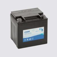 EXIDE TECHNOLOGIES AGM12-31
